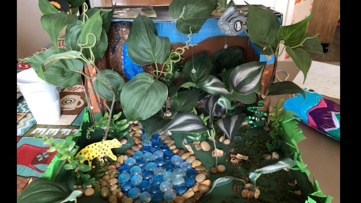 CarterKdcarter's tweet photo. Parts of our science choice board last week were to make a windsock or a diorama to depict a specific climate zone.  I could not be more proud of the results!  Our families even said they enjoyed being able to do these projects TOGETHER! #smithleopards #allforthem #sciencerocks https://t.co/GSWVbzu3xR