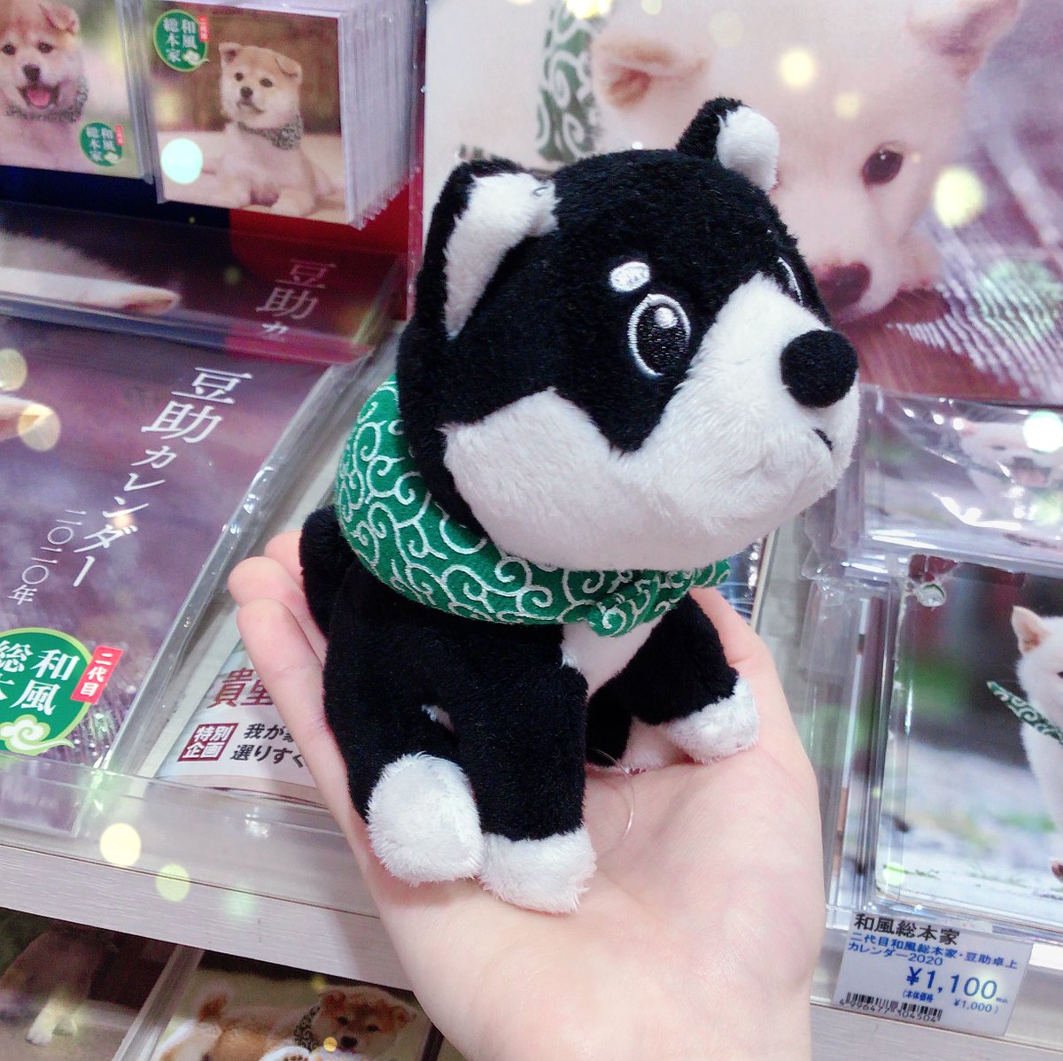 二代目和風総本家】 「豆助ぬいぐるみ」 ちょこんとお座りしている姿が