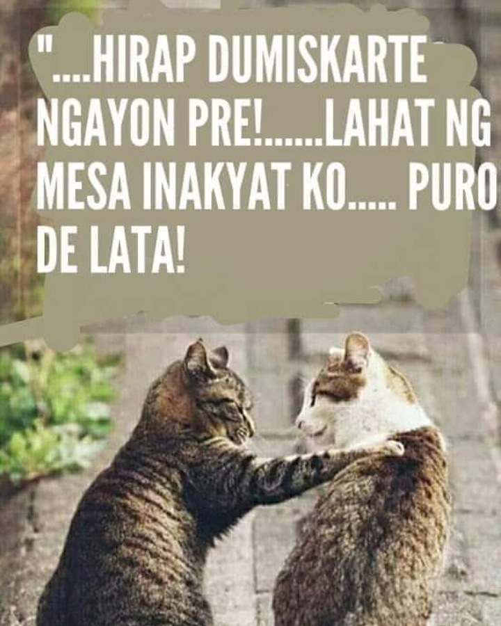 MengCruz1123's tweet photo. https://t.co/mF6fnnN6Qc