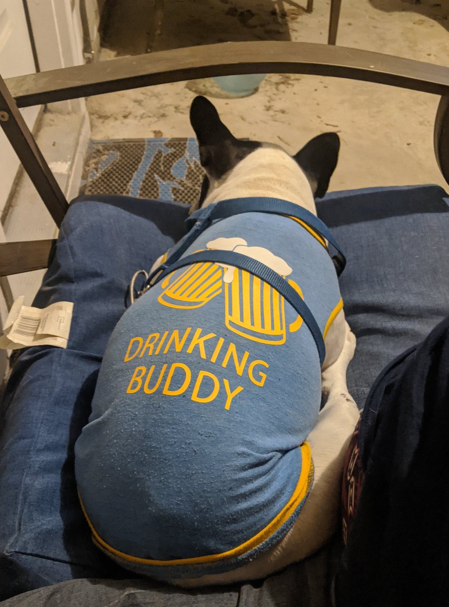 FrenchieSlider's tweet photo. Arf!  I'm Dad's drinking buddy!  😃 https://t.co/UtDK0Fipbq