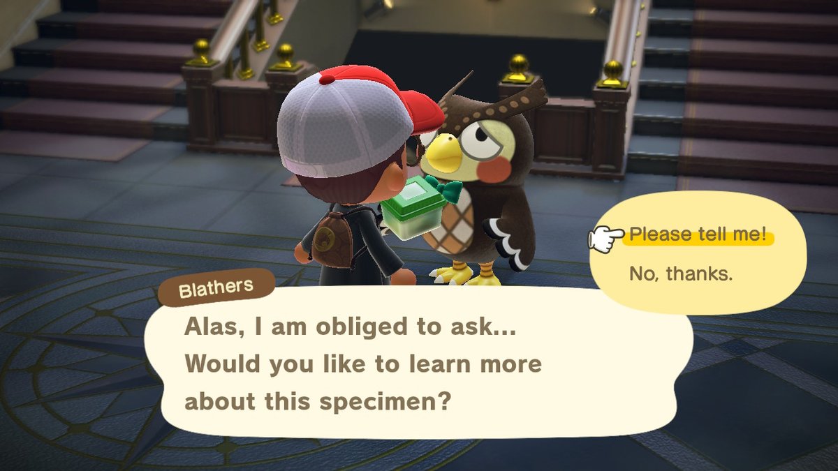 natekun's tweet photo. this is priceless :'D #AnimalCrossing #ACNH #NintendoSwitch https://t.co/AcNuAthkJ2