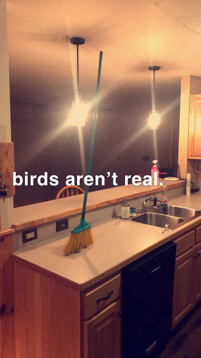ShittyVlog's tweet photo. Stay #woke people #birdsarentreal https://t.co/DlQuy7WkoS