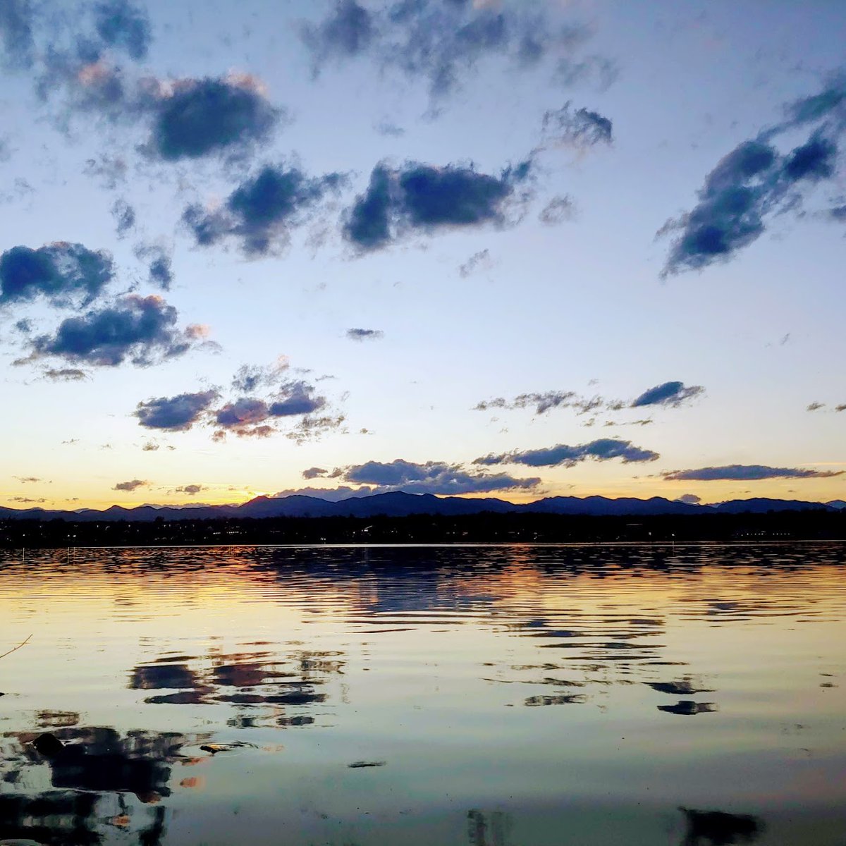 A glowering Rorschach sunset, and a happy muskrat. I think that's a muskrat. Correct me if I'm wrong.