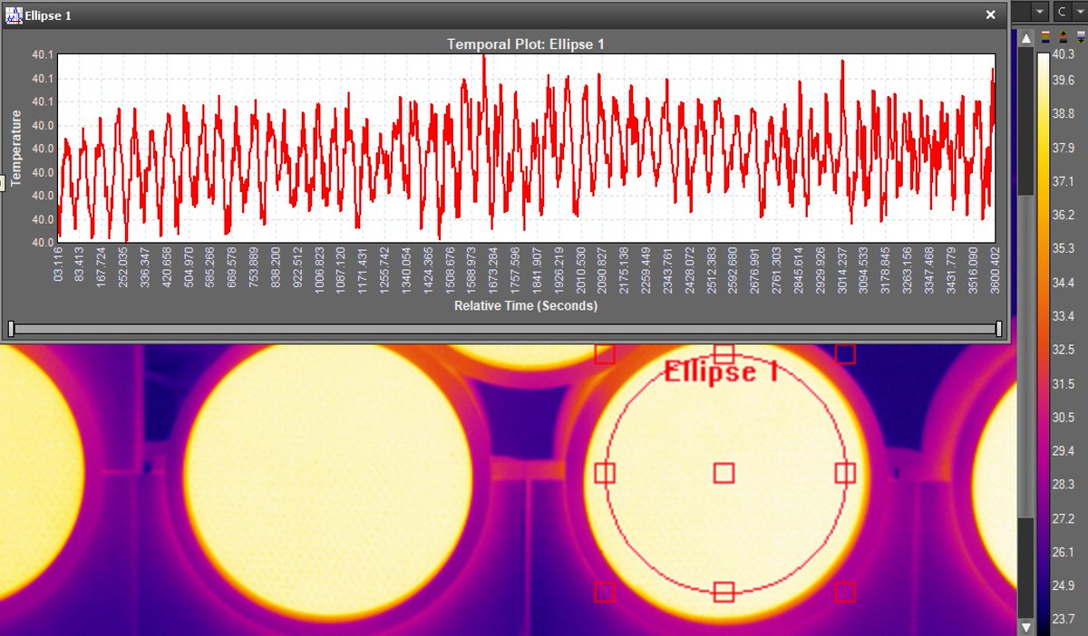 Workswell Infrared tweet media