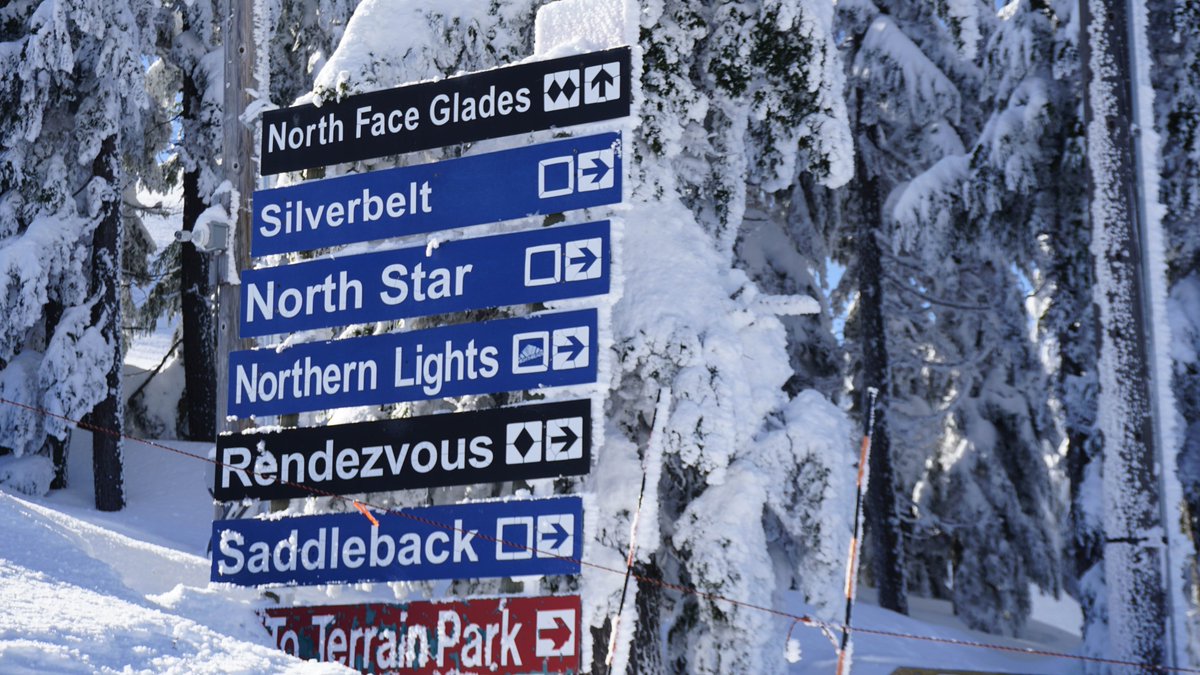 Silver Mountain tweet media