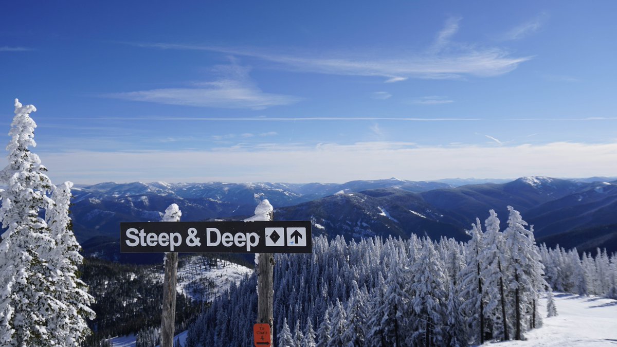 Silver Mountain tweet media