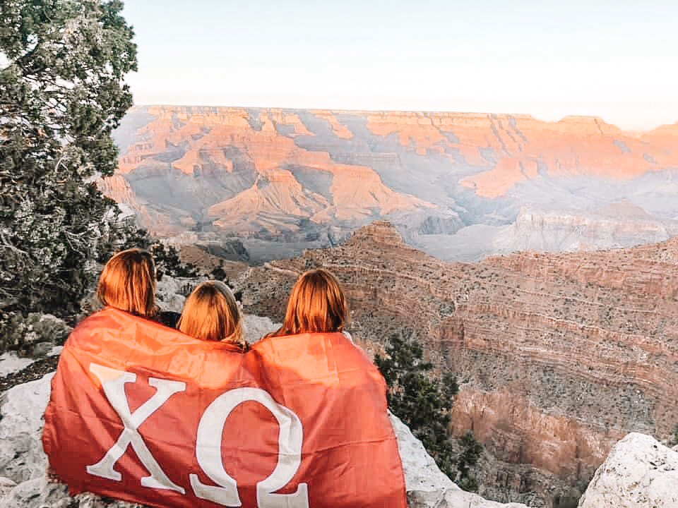 ECU Chi Omega tweet media