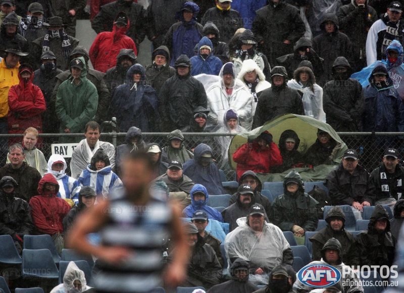 Matt Gibbs tweet media