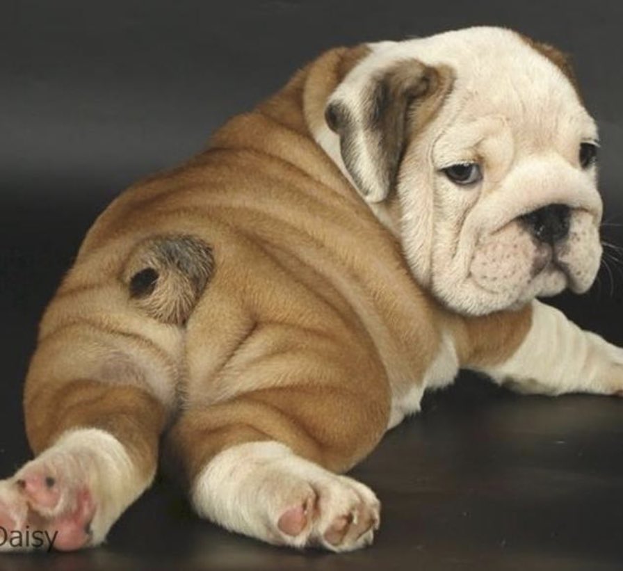 christicash11's tweet image. Don’t get left behind. ⁦@VerbTech_Co⁩ #videoconferencing #datasecure #interactive #MadeInAmerica $verb #nasdaq #tech