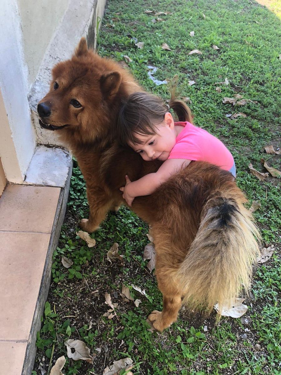 andrea_esp1's tweet photo. Estás fotos de mi sobrina abrazando a su perro son lo maaaaas bonito que he visto el día de hoy🦋 https://t.co/pZOV4RzwjD