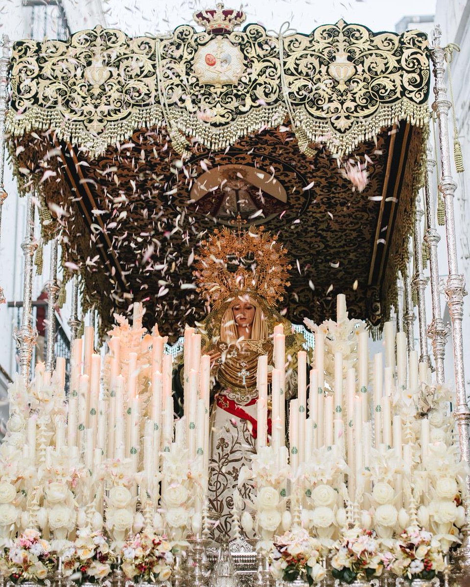 LUNES SANTO | Terminó esa cuenta atrás. Comienza una nueva con estos pétalos de ESPERANZA. Soñemos con esta lluvia de pétalos para el próximo Lunes Santo.

📸 María Benítez

#lagrimasyesperanza
#humildadypaciencia
#petalosdeesperanza
#siemprelaesperanza
#chiclanacofrade