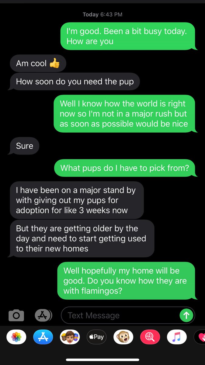 I have an update on the bulldog scammer. My good pal  @brianbCSR made a very serious inquiry about getting a pup and idk you guys this seems pretty legit