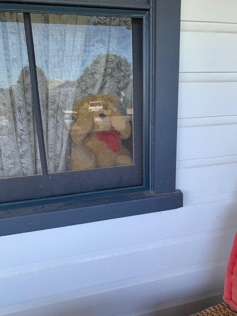 SCULibrary's tweet photo. Who is going on a #bearhunt today? Some #bears have been spotted in the #windowsills of some of our #librarystaff homes this past week spreading cheer in their neighbourhoods #bearhunt2020 #stayhomesavelives #weregoingonabearhunt https://t.co/3p9AKfvYm2