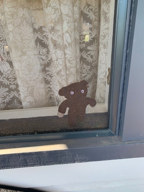 SCULibrary's tweet photo. Who is going on a #bearhunt today? Some #bears have been spotted in the #windowsills of some of our #librarystaff homes this past week spreading cheer in their neighbourhoods #bearhunt2020 #stayhomesavelives #weregoingonabearhunt https://t.co/3p9AKfvYm2