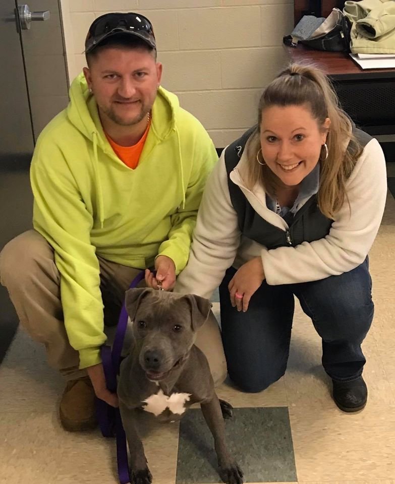 Blueberry found a great home yesterday!
#STARS #fureverhome #AdoptDontShop #rescue