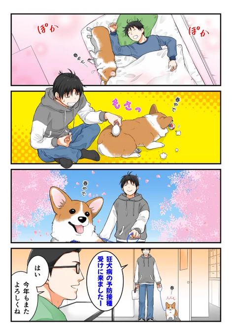 春を迎えた犬 