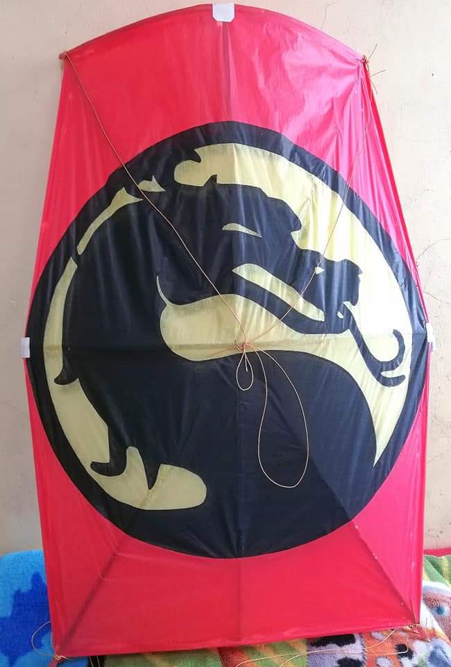 Pechmed's tweet image. Wow Que recuerdos !!
#FelizDomingo #Xalapa
#Papalotes