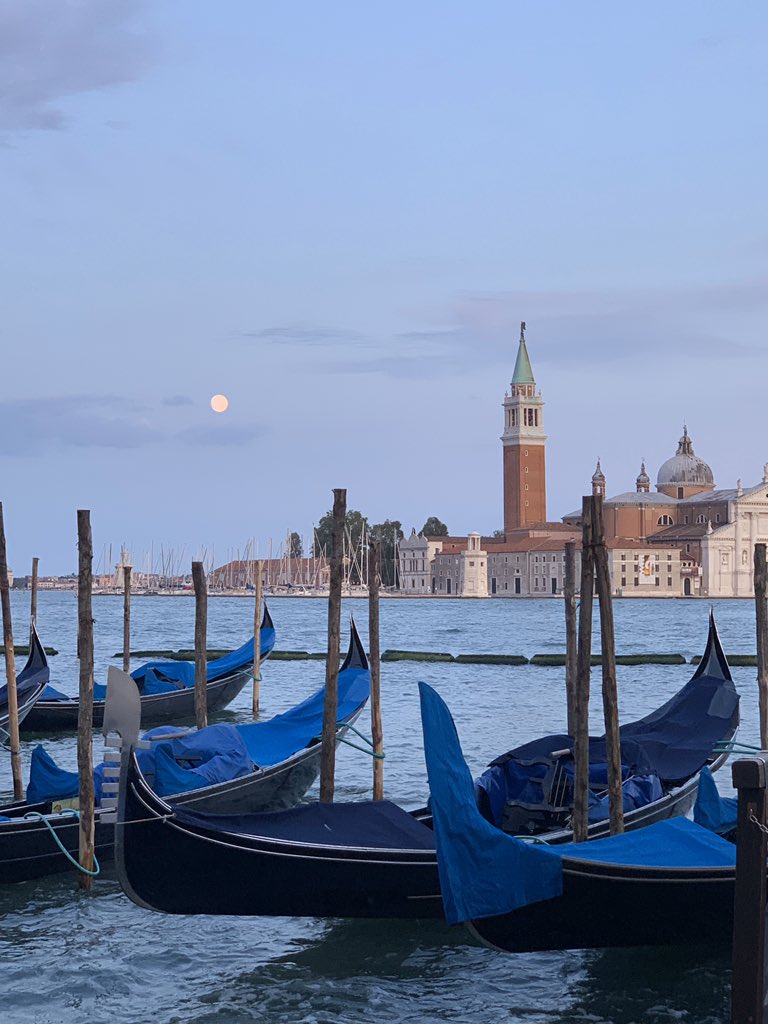 Eloisa Cartaxo (@eloyfialho) on Twitter photo 