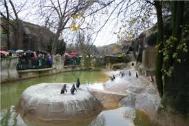 RobRobbEdwards's tweet photo. Man can't replicate an #Animals #NaturalHabitat 
A Pool does not reflect an #Ocean 
A Cage does not reflect a #Forrest 
An Enclosure does not reflect a #Plain 
Taking any #Animal from its #NaturalHabitat to be placed in  enclosure, pool,  cage is an abuse of man's role in #Nature https://t.co/6MYzPXHCwZ