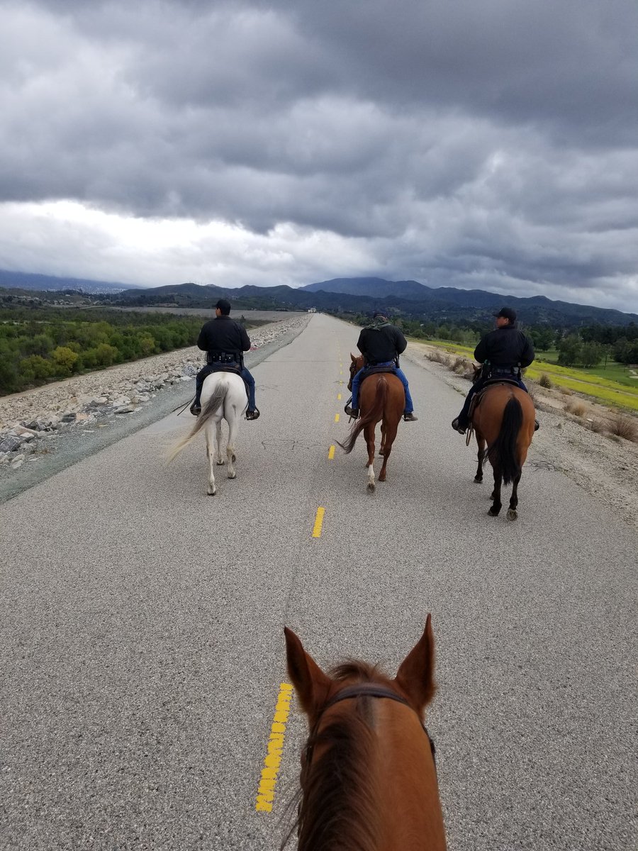 LAPD MOUNTED PLATOON tweet media