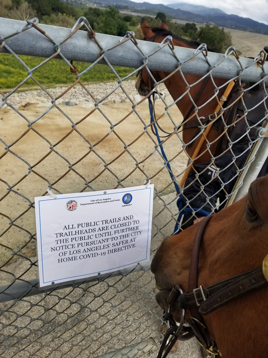LAPD MOUNTED PLATOON tweet media