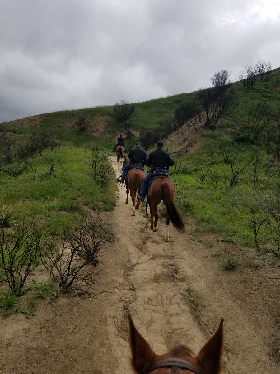 Mounted Platoon worked the hillside trails enforcing trail closures City wide.  They made over 100 contacts this weekend in restricted areas.  As a reminder, all public trails are closed until further notice.  Be safe.