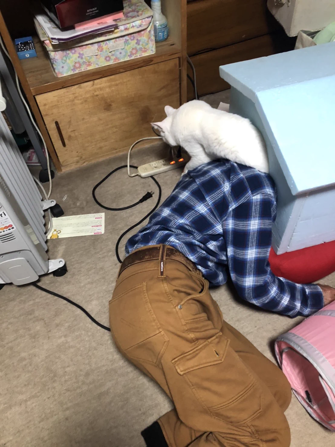 ネッコのおうちに顔を突っ込んで寝てるお父さん発見。どうしてこうなったww