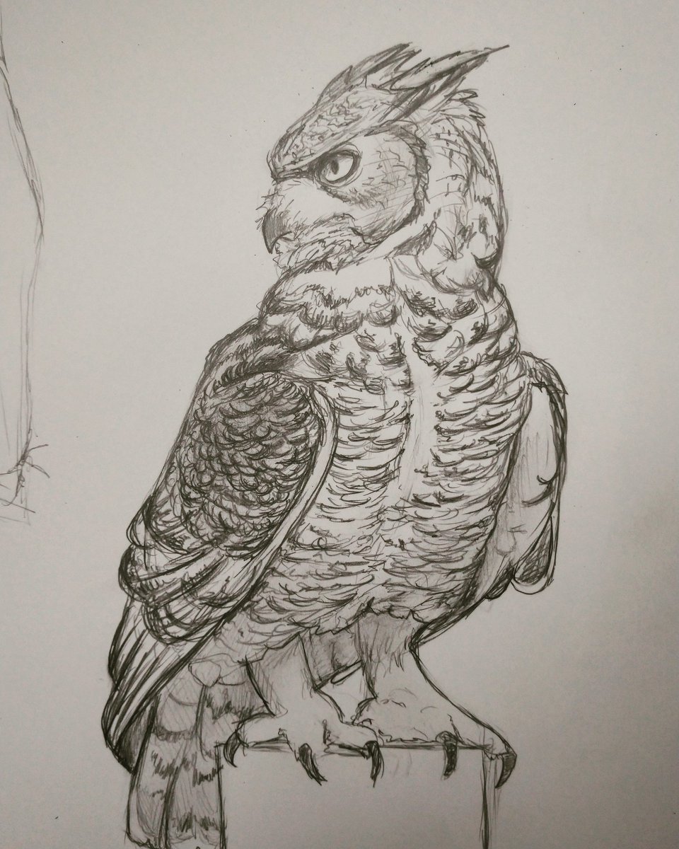 Michele Altenkirch tweet media