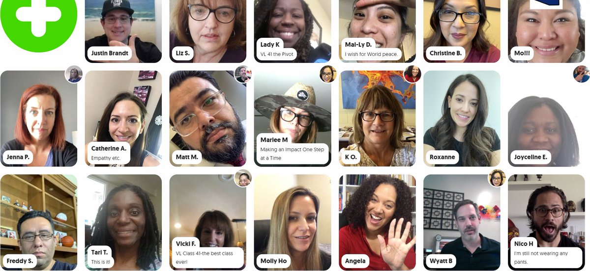 VLeadership's tweet photo. #VLInstitute Class 41 shared their final program on Friday, talking with one another virtually.  An outstanding cohort, equipped with the #PrinciplesofDoing and ready for life-long impact #LeadingAZ. Thank you @intel @SRPconnect @WellsFargo for supporting the Institute program. https://t.co/x7mViv5exV