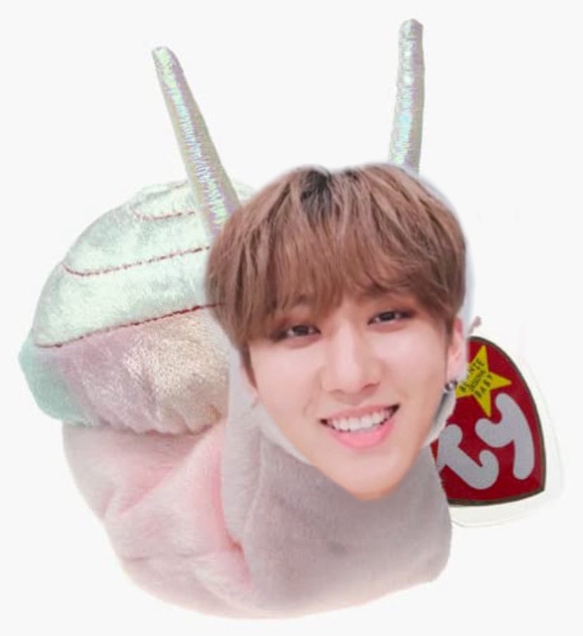 chewymingi's tweet photo. binnie baby snail https://t.co/ZN4D8HrTyh