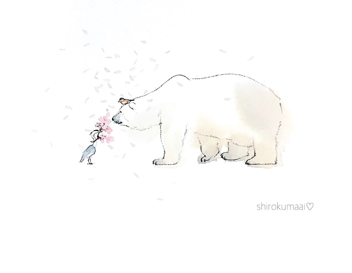 ほら 春だよ 東山動植物園 サスカッチ ホッキョクグマ シロクマ 中村 愛のイラスト ほら 春だよ 東山動植物園 サスカッチ ホッキョクグマ シロクマ 中村 愛のイラスト