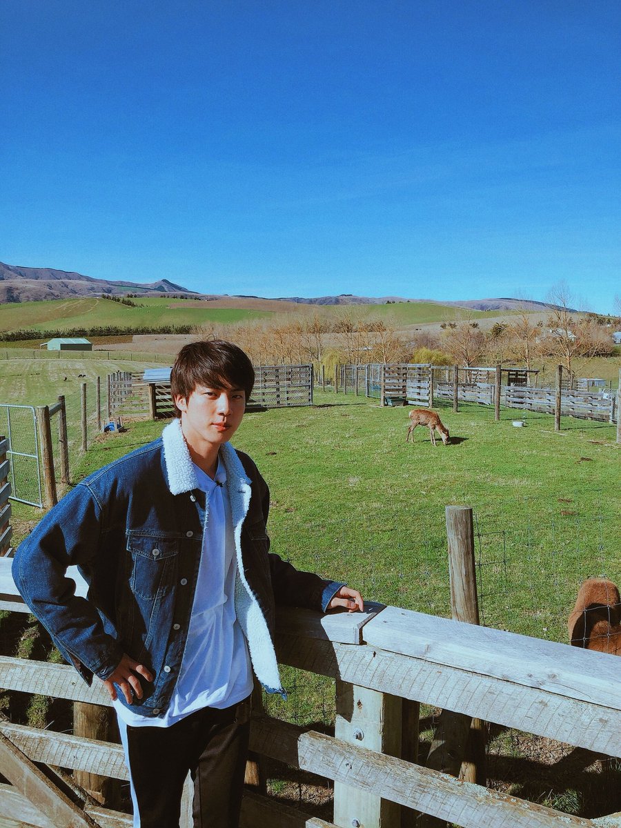 seokjin • Beja