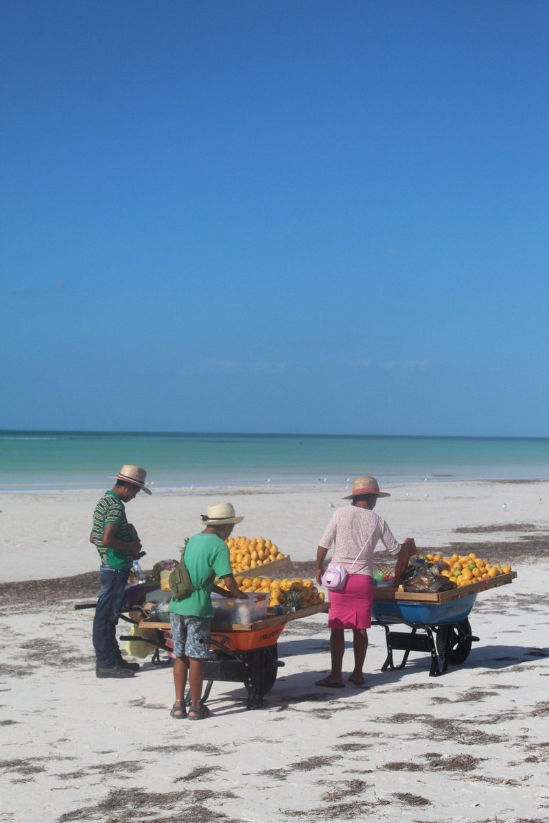 holboxtourism's tweet photo. Isla Holbox, México https://t.co/PrDzjbFVwj