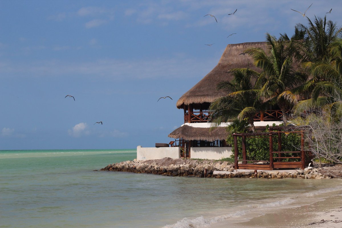 holboxtourism's tweet photo. Isla Holbox, México https://t.co/PrDzjbFVwj