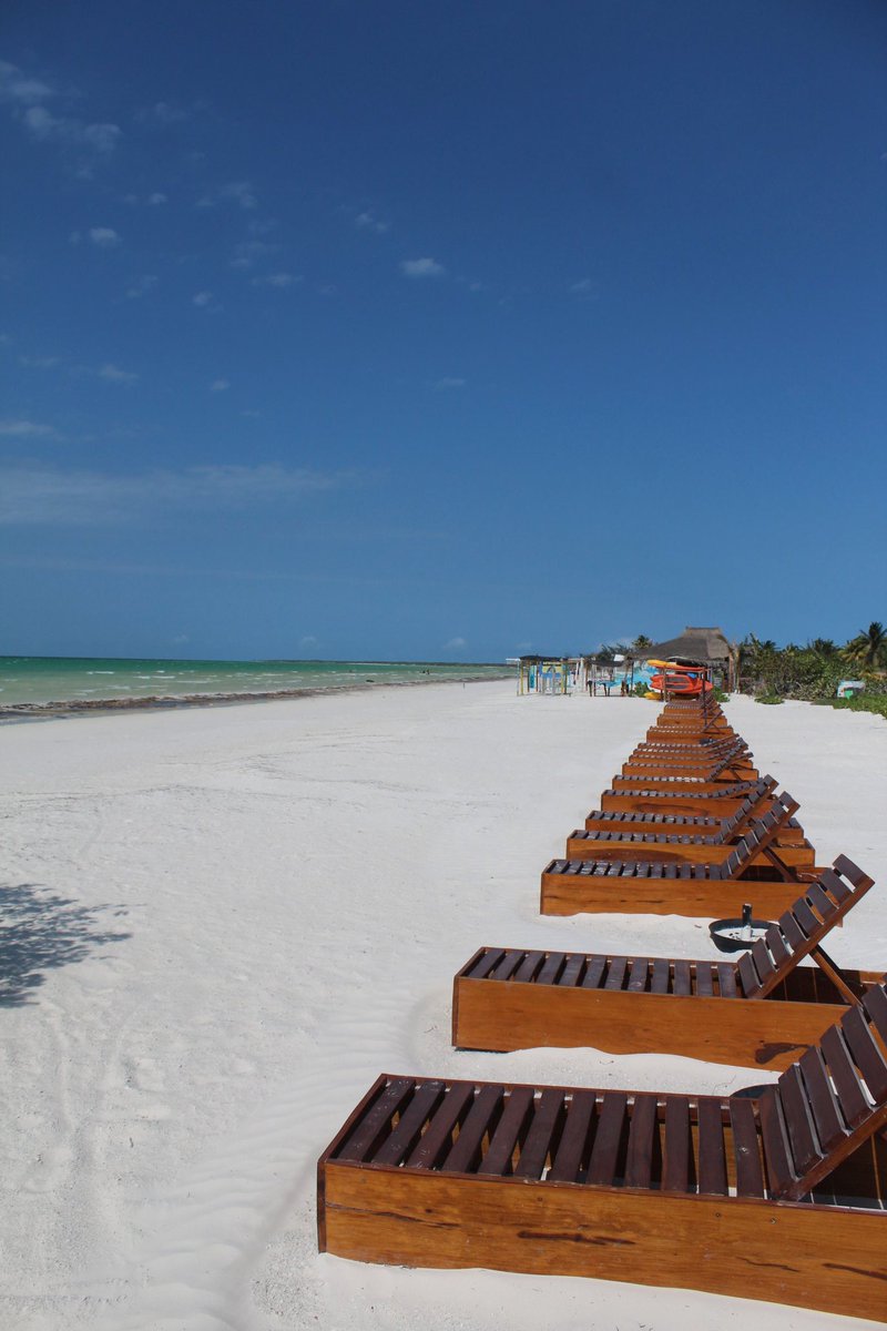 holboxtourism's tweet photo. Isla Holbox, México https://t.co/PrDzjbFVwj