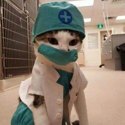 HalconaUFF's tweet photo. #TheGoodDoctorTVN deberia encontrar un remedio contra el #Coronavirus 😬😬😬 https://t.co/KyXFwifco1