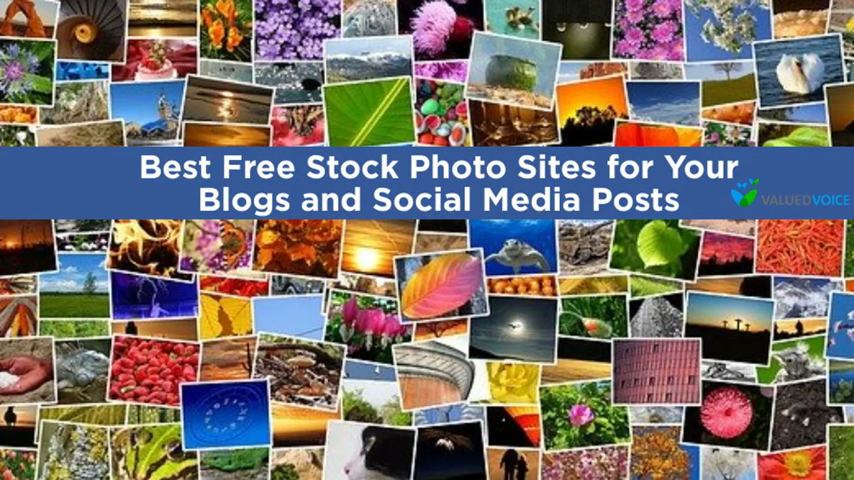 IAmWrittenhouse's tweet photo. Best Free Stock Photo Sites for Your Blogs and Social Media Posts https://t.co/Hi50eyXFot RT @ValuedVoiceLV https://t.co/sCDo5EtqLp
