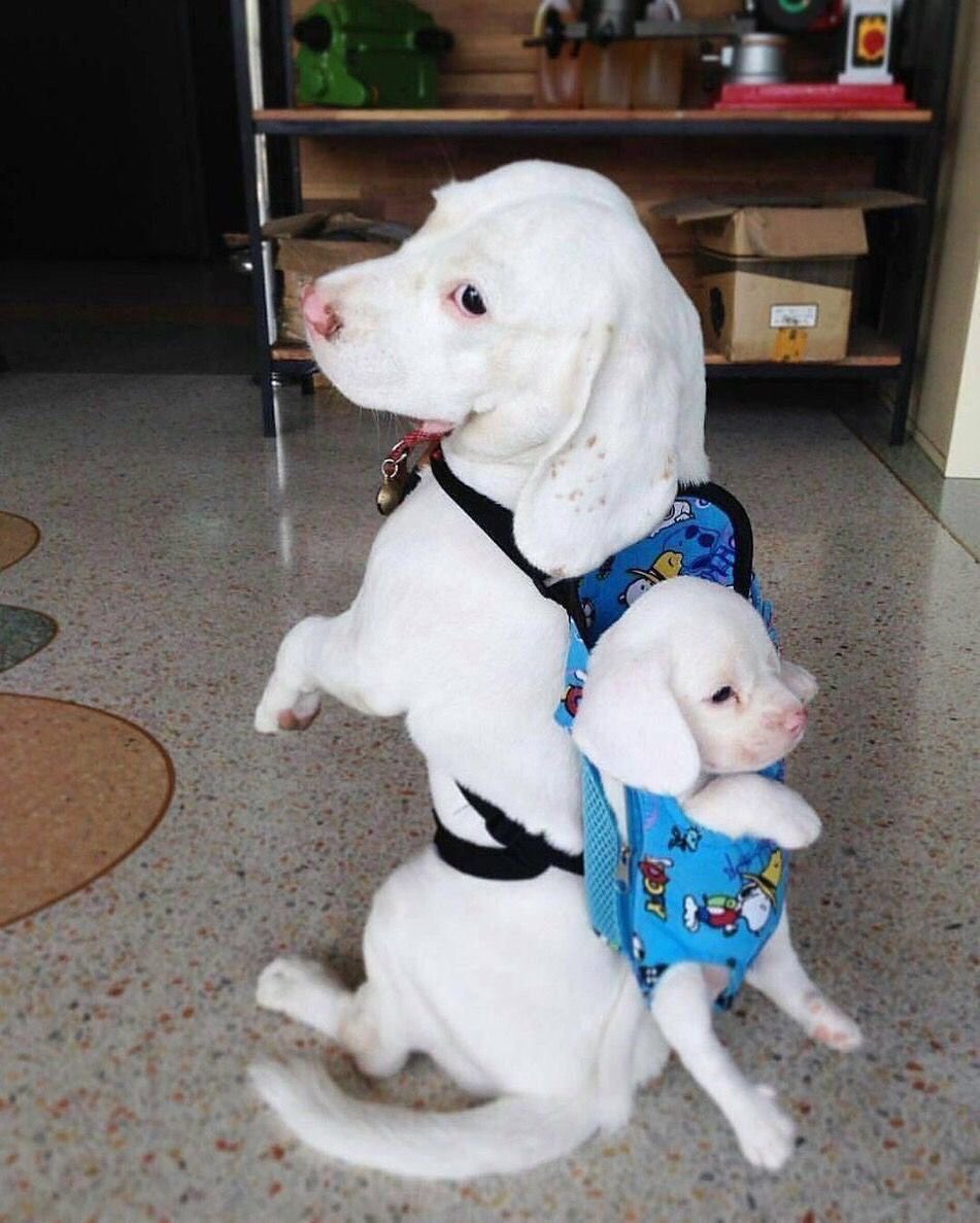 พี่กันยาและน้องพล