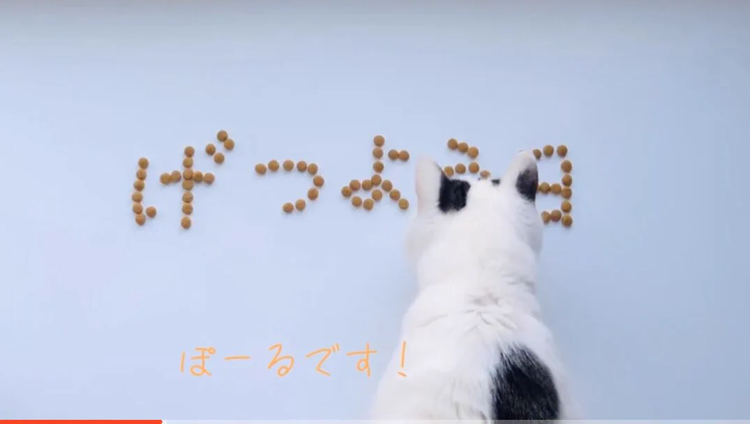 @mou_kaeru 全開で9時に出社！
でも猫が月曜日を食べてくれたので
大丈夫です
