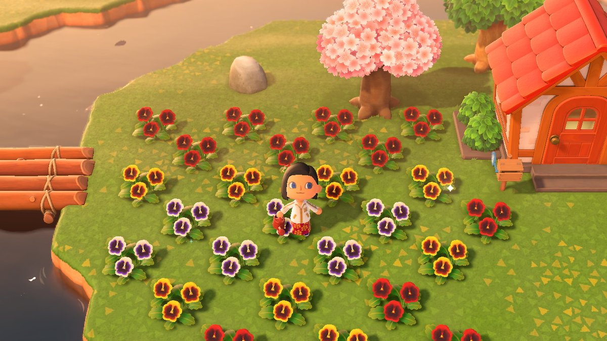 Zantarok's tweet photo. The crossbreeding begins! House moves tonight, huge plot starts tomorrow. @jamiecoxcvt #AnimalCrossing #ACNH #NintendoSwitch https://t.co/Aen0UNKFRV