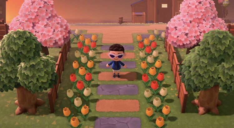 Animal Crossing Villager Tour 2k20: a thread