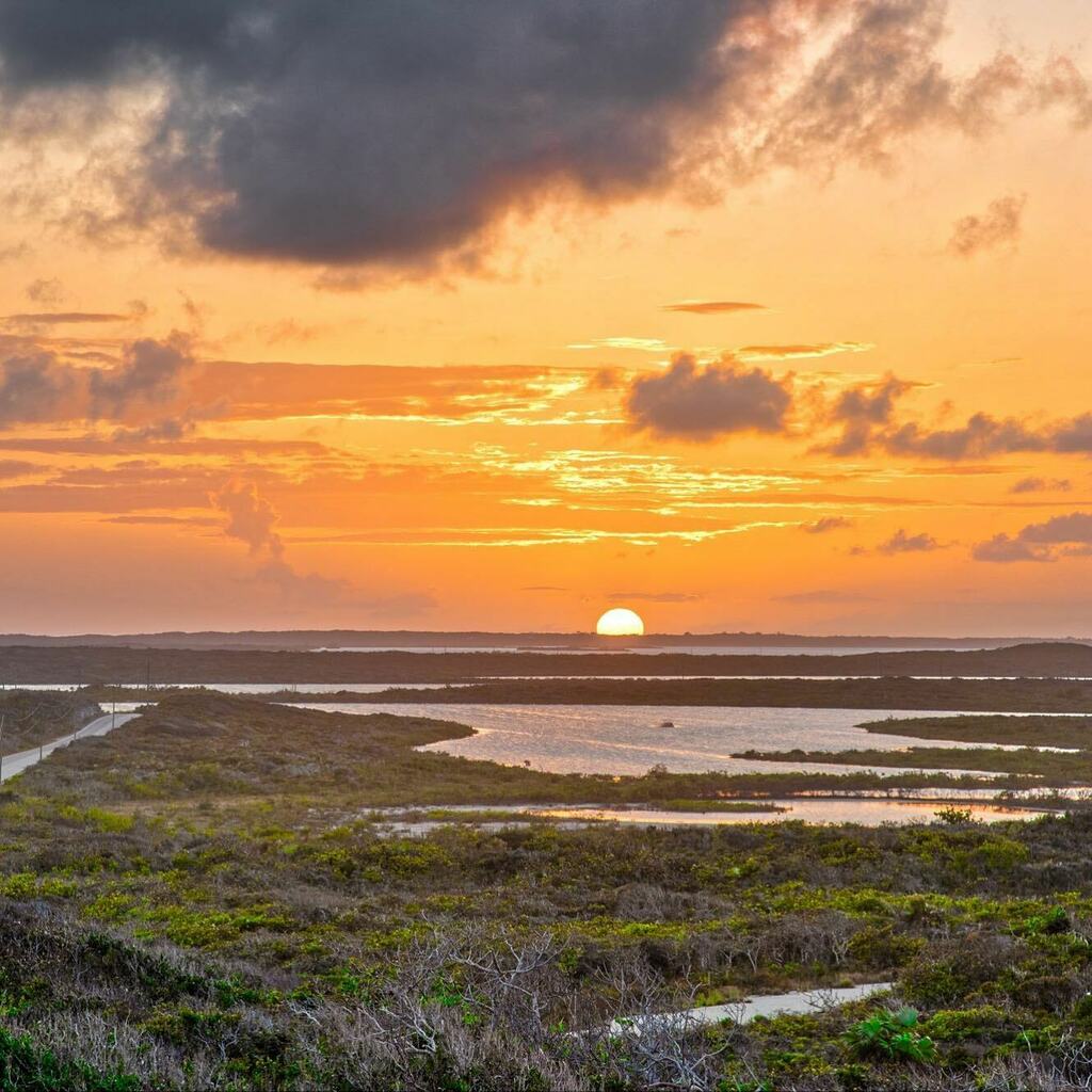 TTHMarketing's tweet photo. A blessed Palm Sunday to you all.
#palmsunday #dragoncay #mudginharbour #turksandcaicos #vacationdreams #islandlife #islanddreaming https://t.co/eYnKs4mO22 https://t.co/q5QdWQyozL