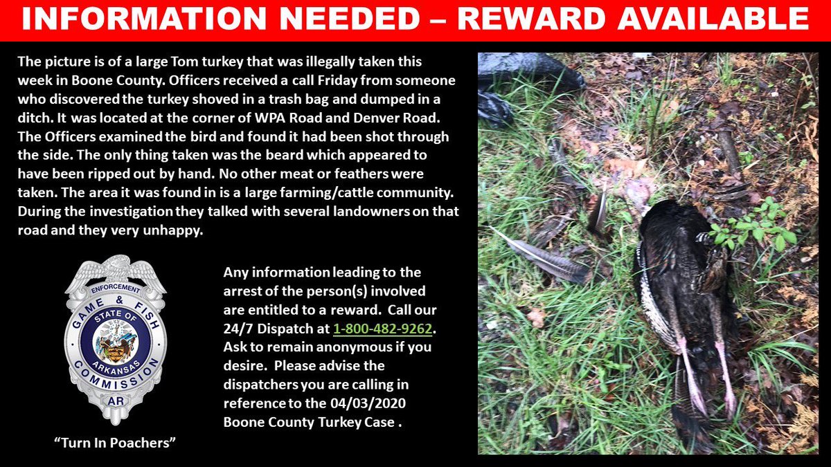 dakotafarms's tweet photo. Please help us spread the word!  We need information on the below case!  REWARD!!!!! #gamewardens #turninpoachers @ARGameandFish https://t.co/qQcAHn8aly