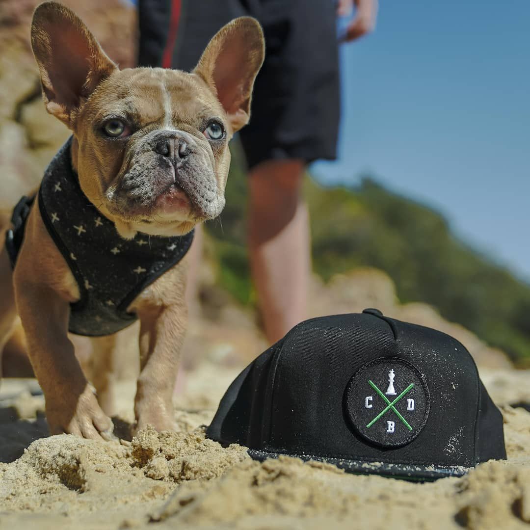 We have some very exciting things on the horizon🔥🔥🔥
👉👉Stay tuned for the next episode!!
Check out our website for the newest and best information and products!!
🔥🔥kingcannabinoid.com.au🔥🔥