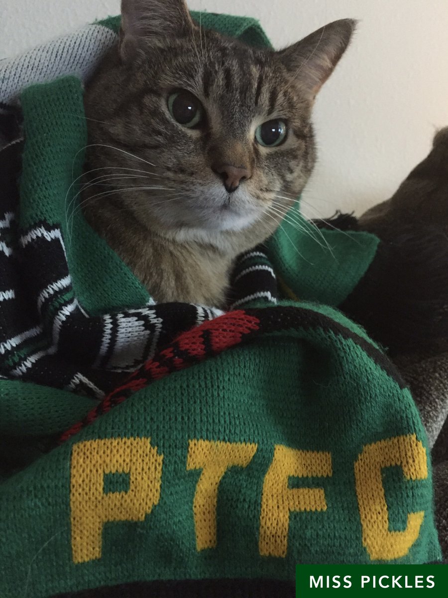 TimbersFC's tweet image. Mateo knocks off Echo and moves onto the semifinals. We're up to our last quarterfinal match-up with Kayi taking on Miss Pickles. Cast your votes! #RCTID