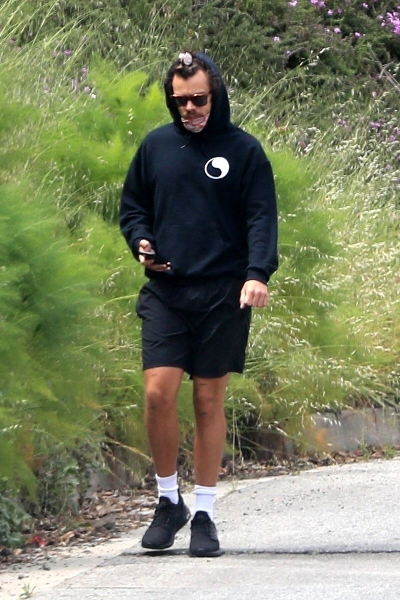 Harry walking in LA recently !