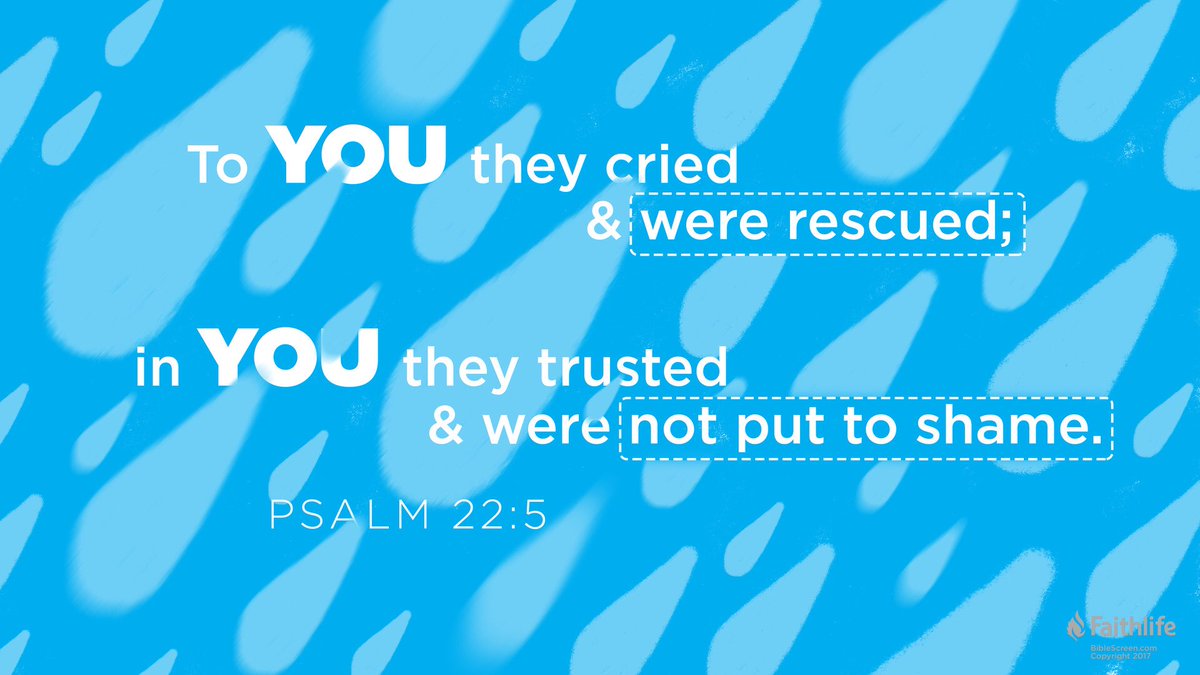 MikeforJesus's tweet photo. https://t.co/0uhMQKs8KE via @Logos https://t.co/z9sBHKEgtY