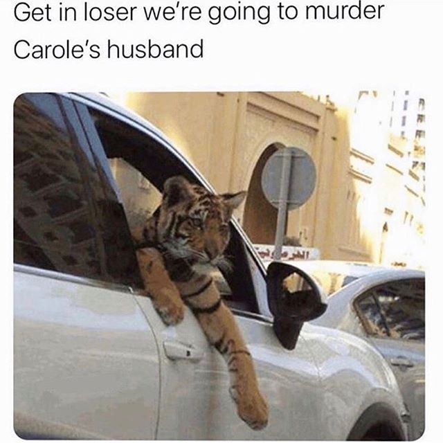 Joe Exotic tweet media
