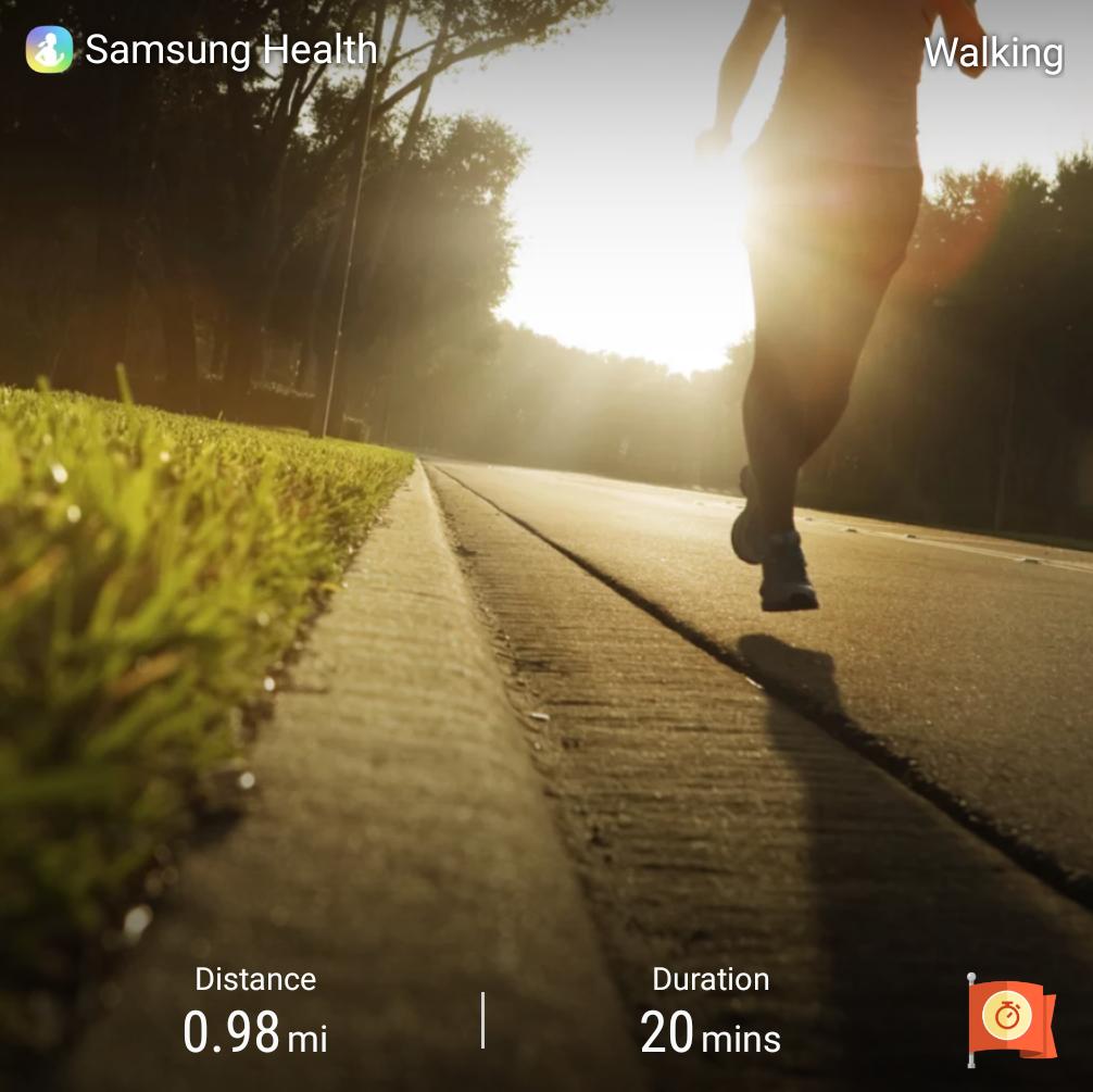 Needed it to burn some cooped up energy.