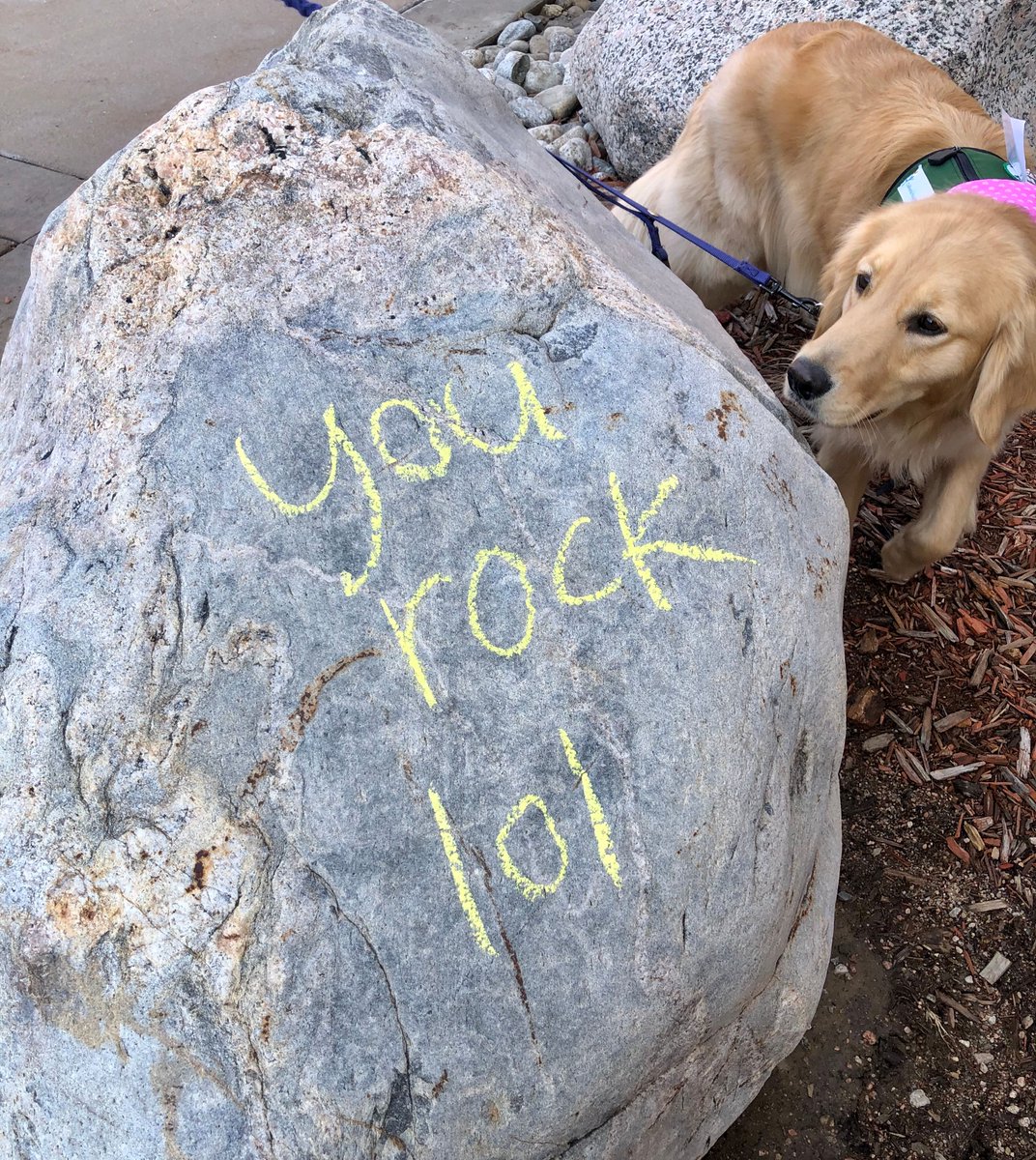 ChildrensColo's tweet photo. To our #HealthcareHeroes: We see you. We thank you. #ThanksHealthHeroes #COVID19Colorado https://t.co/F19bC2dljz